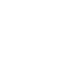 sap 1