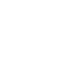 sap 1