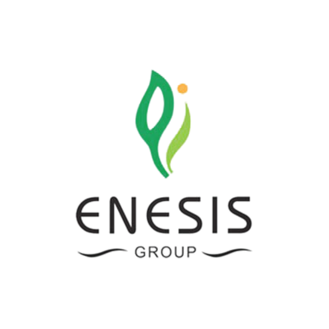 enesis logo (1)